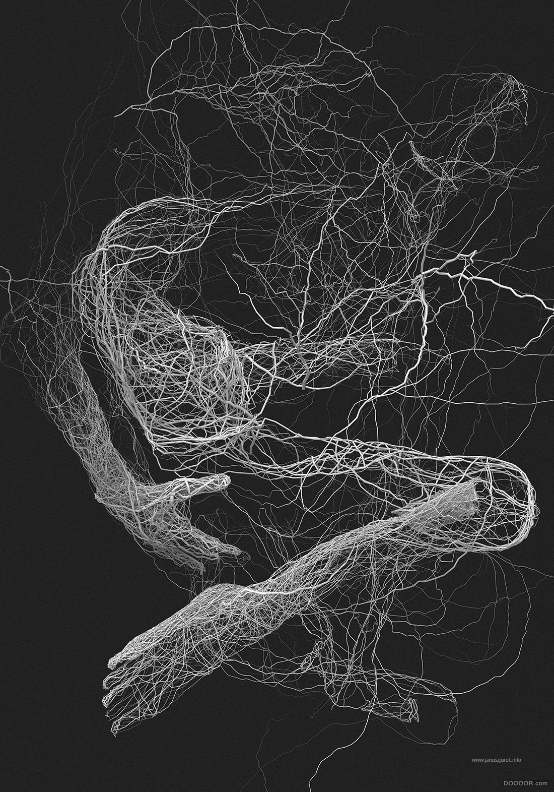罕见立体筋脉枝状人体插画大作-Janusz Jurek [34P] (17).jpg