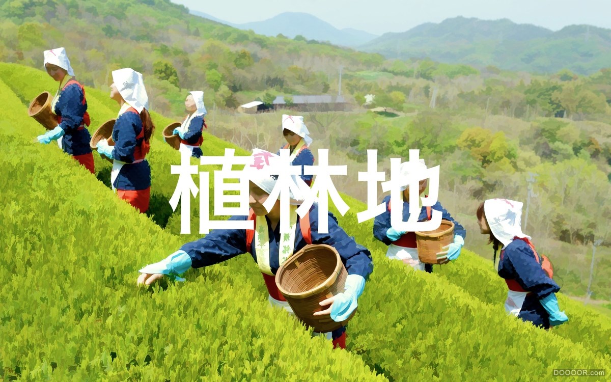 フォーハーツ日本草药茶叶形象包装设计-Ramin Nasibov [37P] (4).jpg