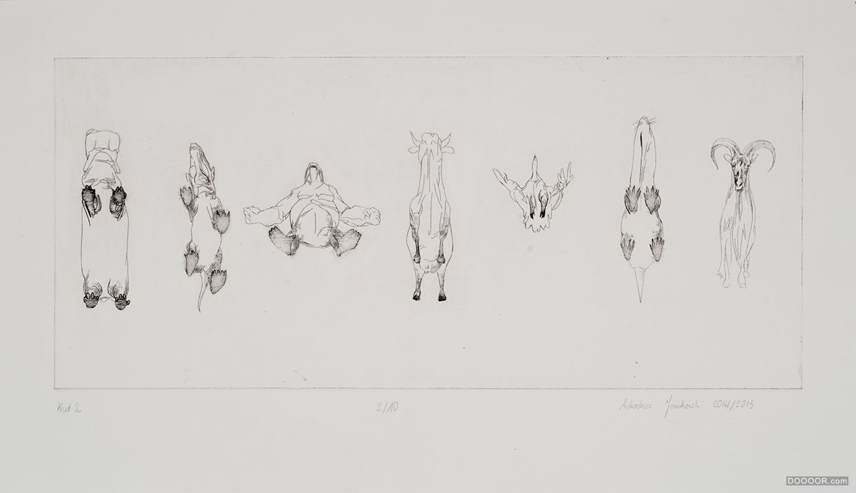动物形态素描展示-Arkadiusz Jankowski [11P] (2).jpg