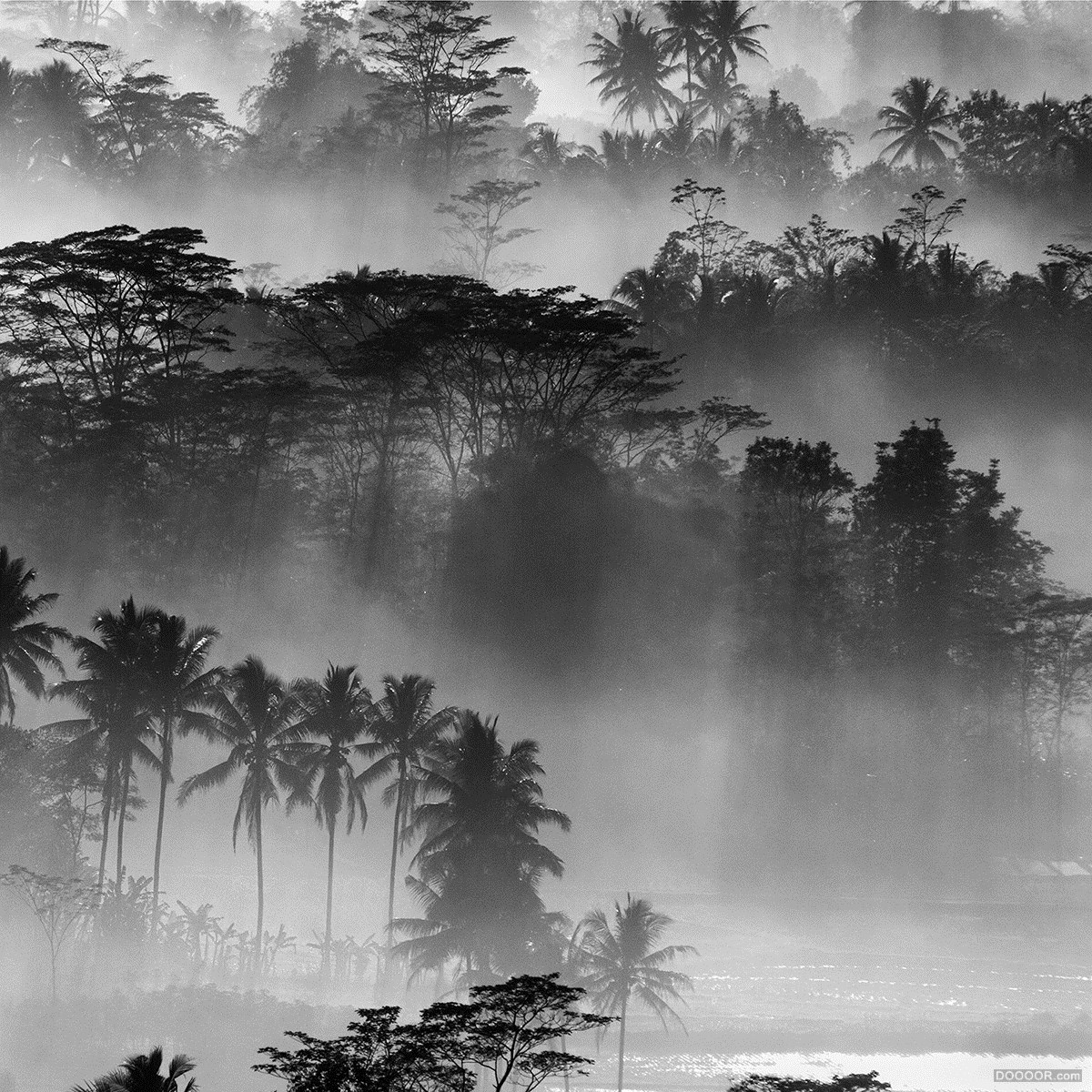 婆罗浮屠的雾-Daniel Tjongari [10P] (4).jpg