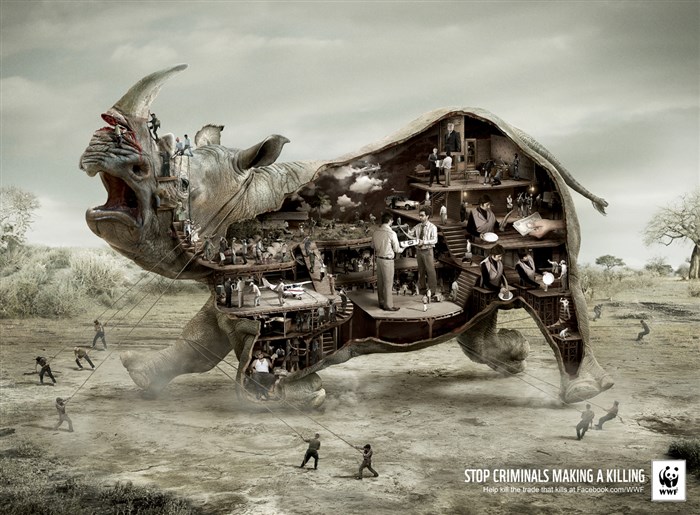 WWF (1).jpg