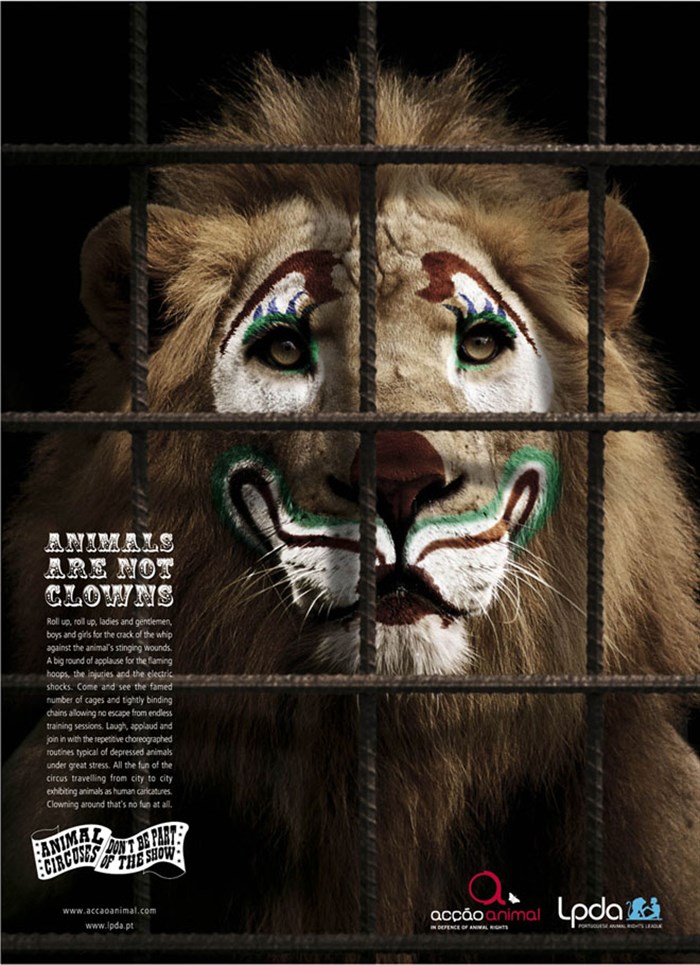 WWF (6).jpg