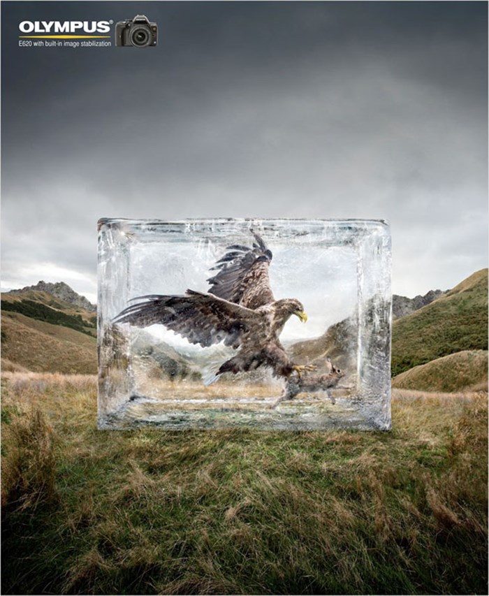 WWF (7).jpg