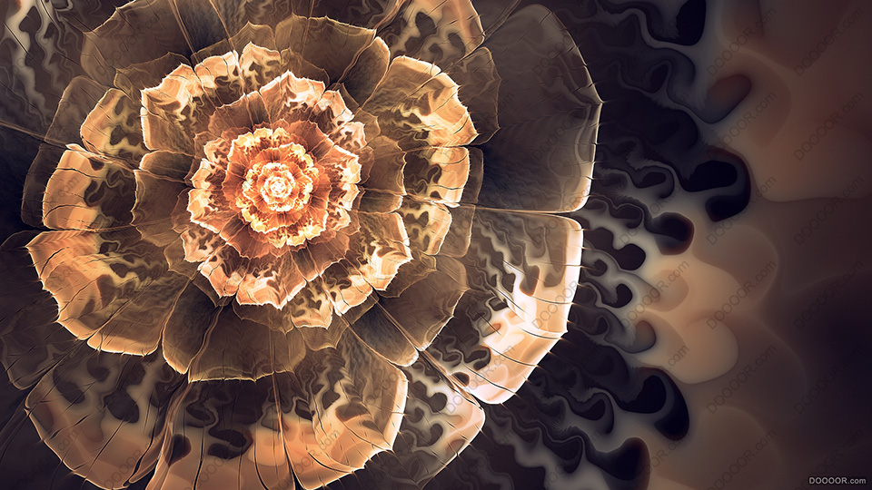 绝美光幻之花高清JPG素材[46P]-A (2).jpg