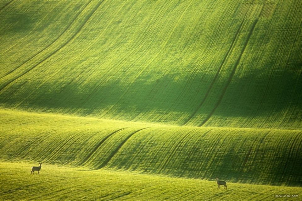 捷克共和国美丽的摩拉维亚绿色之地-Marcin Sobas [14P] (2).jpg