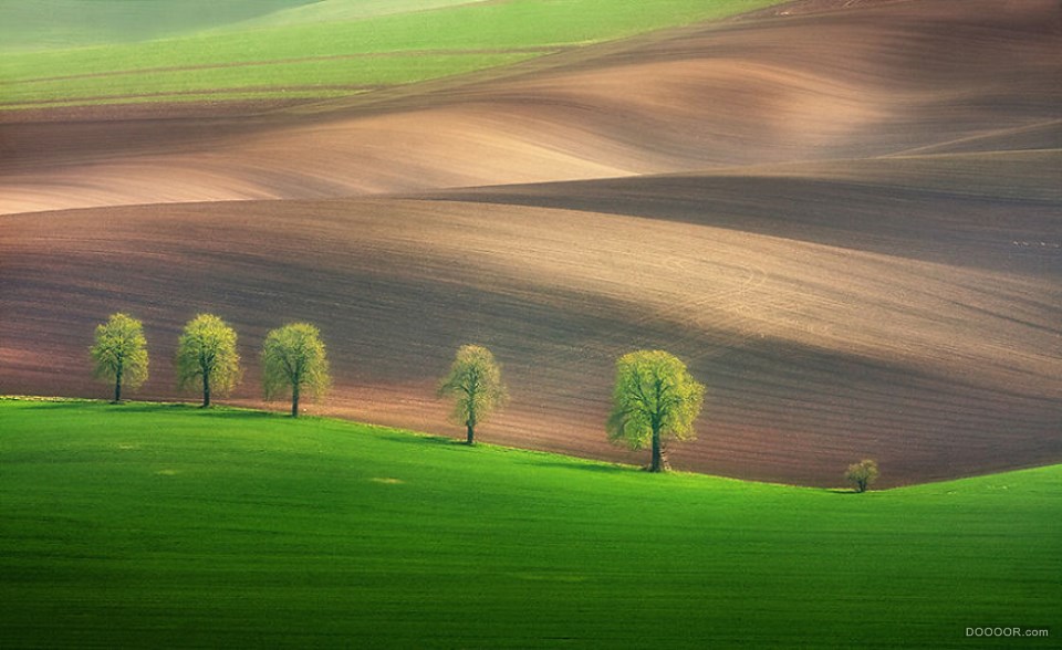 捷克共和国美丽的摩拉维亚绿色之地-Marcin Sobas [14P] (4).jpg