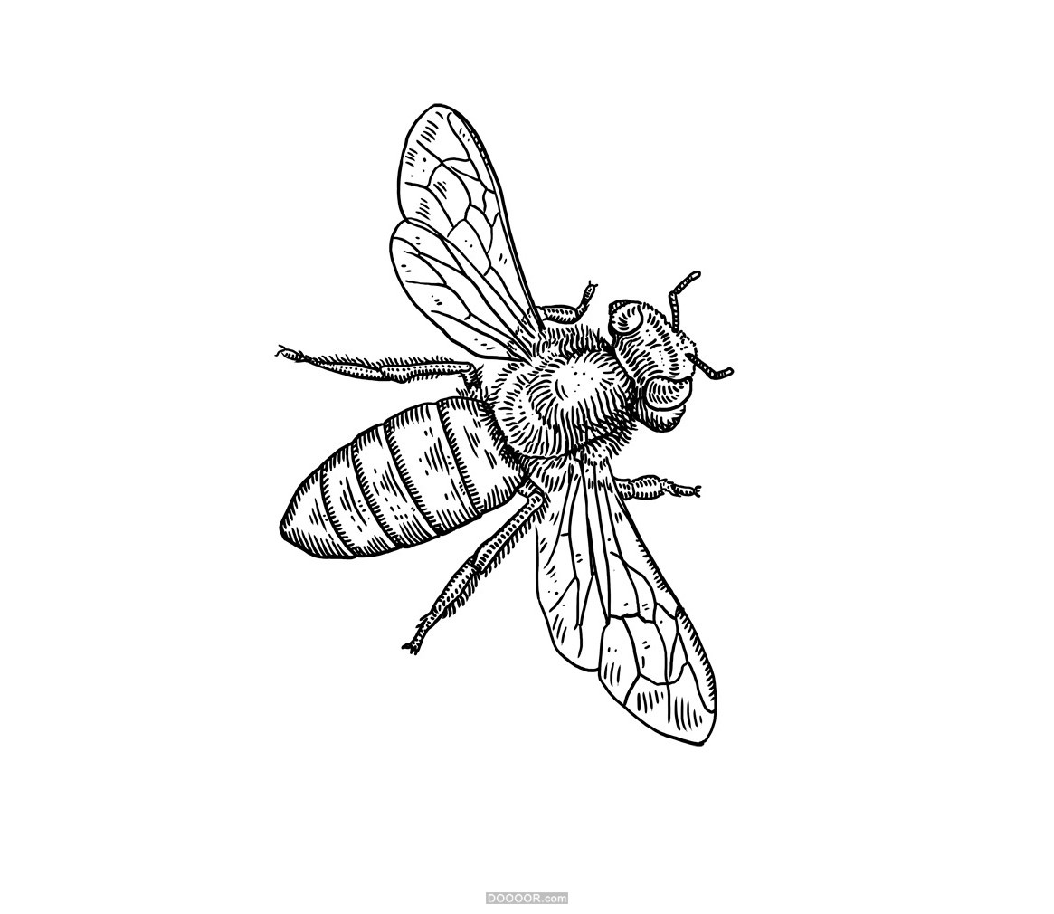 给FOODBOX餐厅的插画-Erikas Perl [16P] (5).jpg