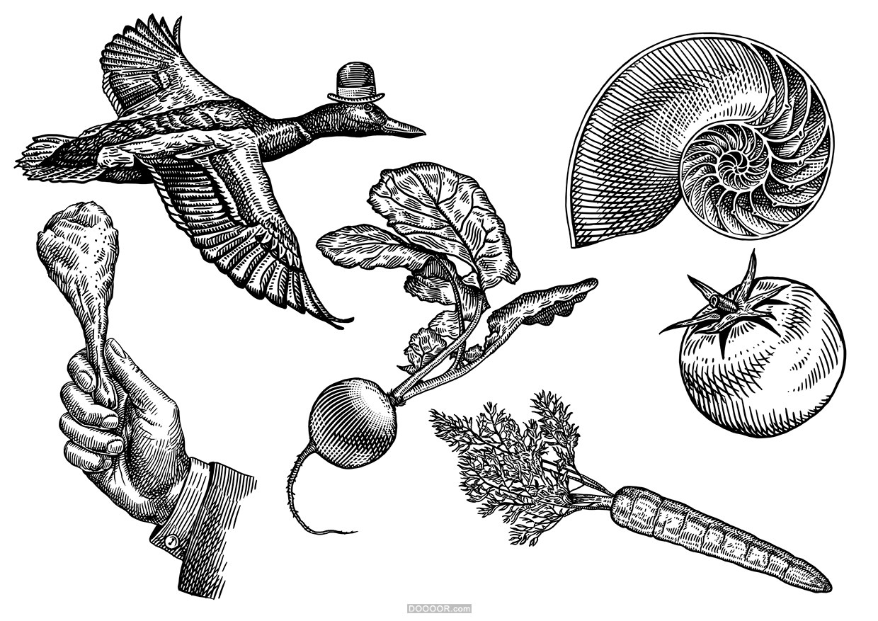 给FOODBOX餐厅的插画-Erikas Perl [16P] (12).jpg