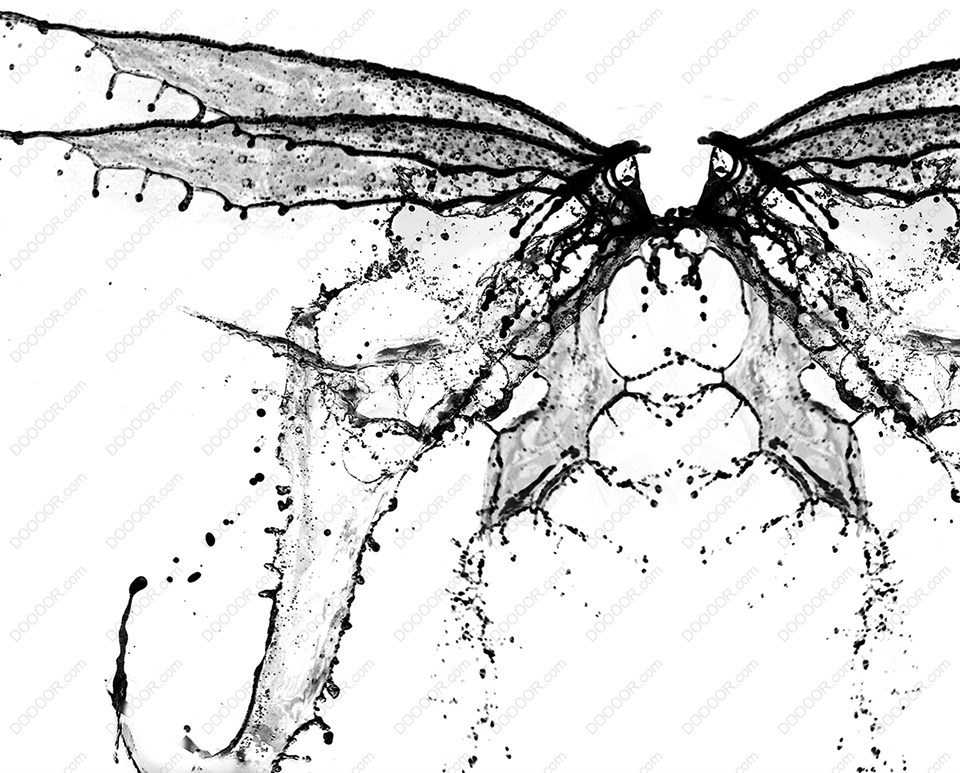26对水花天使魔鬼翅膀高清PHOTOSHOP笔刷 (10).jpg