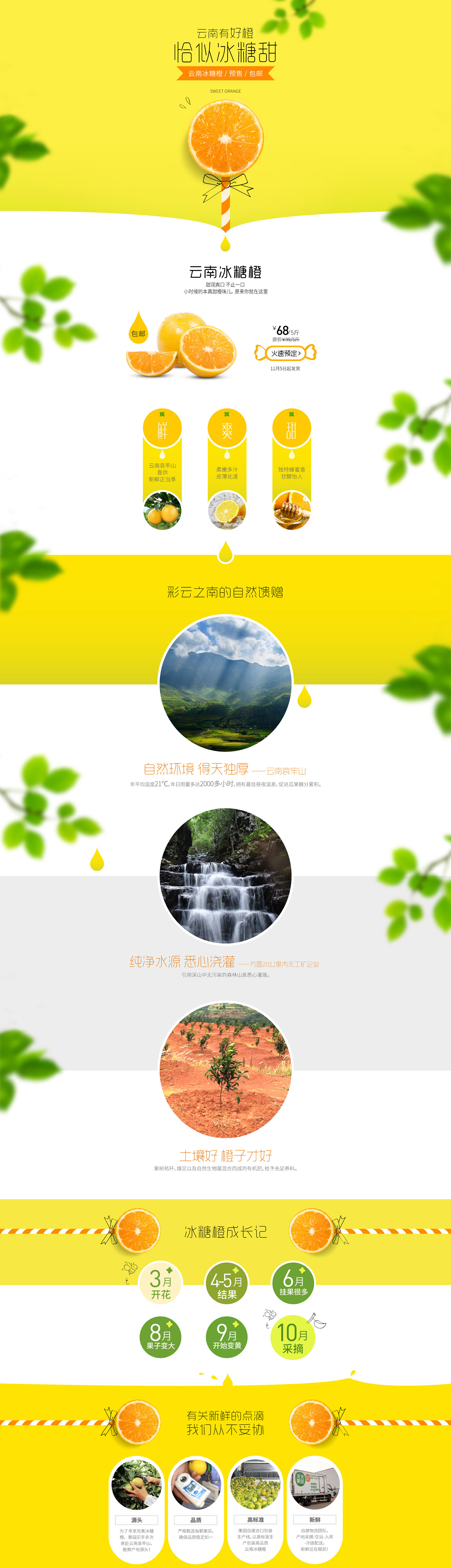 云南橙冰糖橙-.jpg
