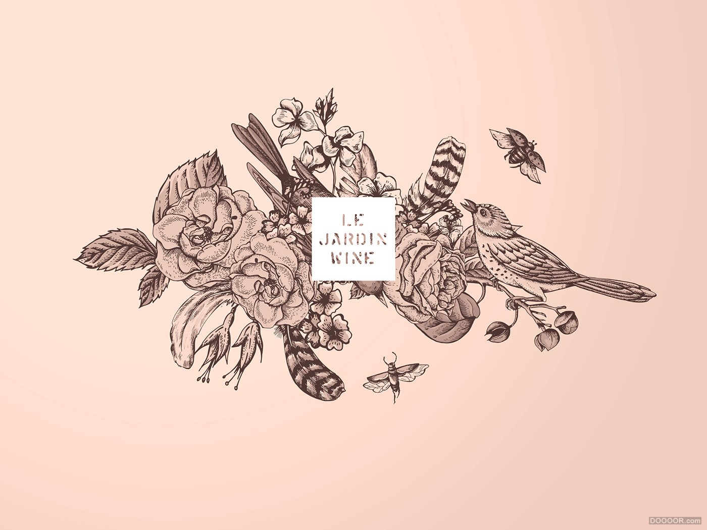 LE JARDIN品牌葡萄酒手绘概念包装设计-Sarah Gwan [9P] (1).jpg