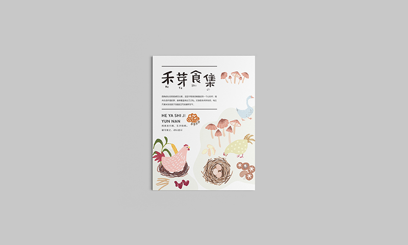 云南《禾芽食集》品牌包装体验设计-郑州-你好大海品牌设计 [39P] (7).jpg.jpg