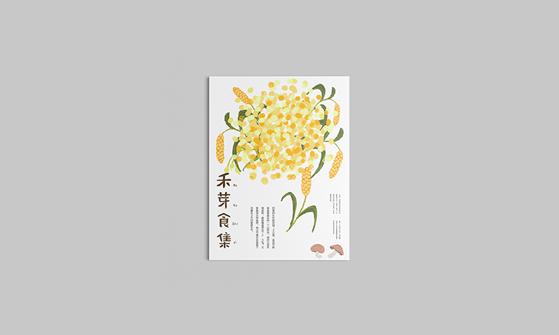 云南《禾芽食集》品牌包装体验设计-郑州-你好大海品牌设计 [39P] (8).jpg.jpg