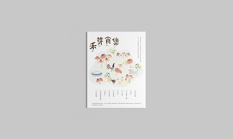 云南《禾芽食集》品牌包装体验设计-郑州-你好大海品牌设计 [39P] (9).jpg.jpg