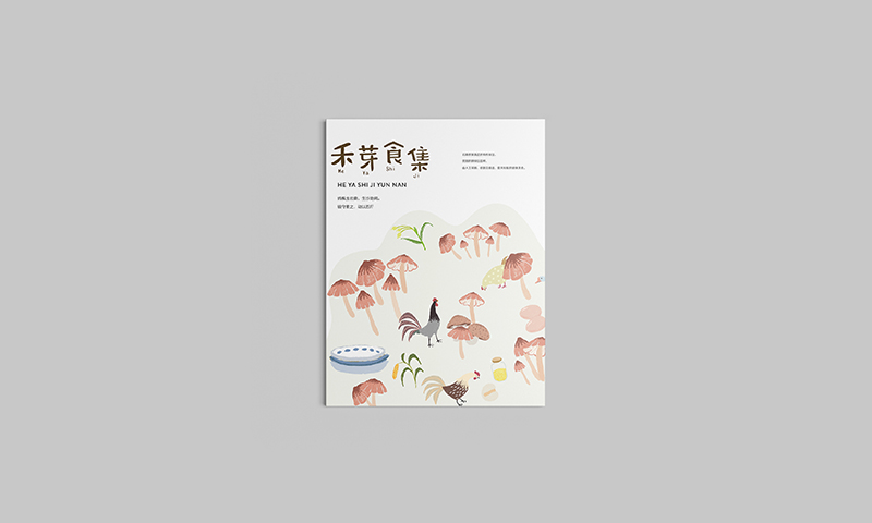 云南《禾芽食集》品牌包装体验设计-郑州-你好大海品牌设计 [39P] (12).jpg.jpg