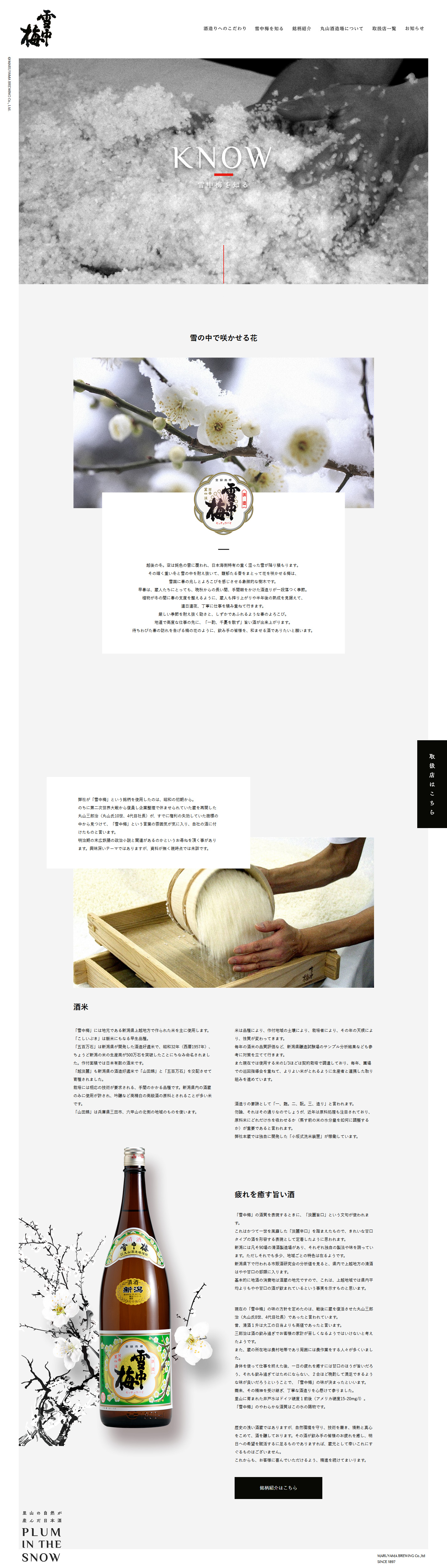 雪中梅    -1.jpg