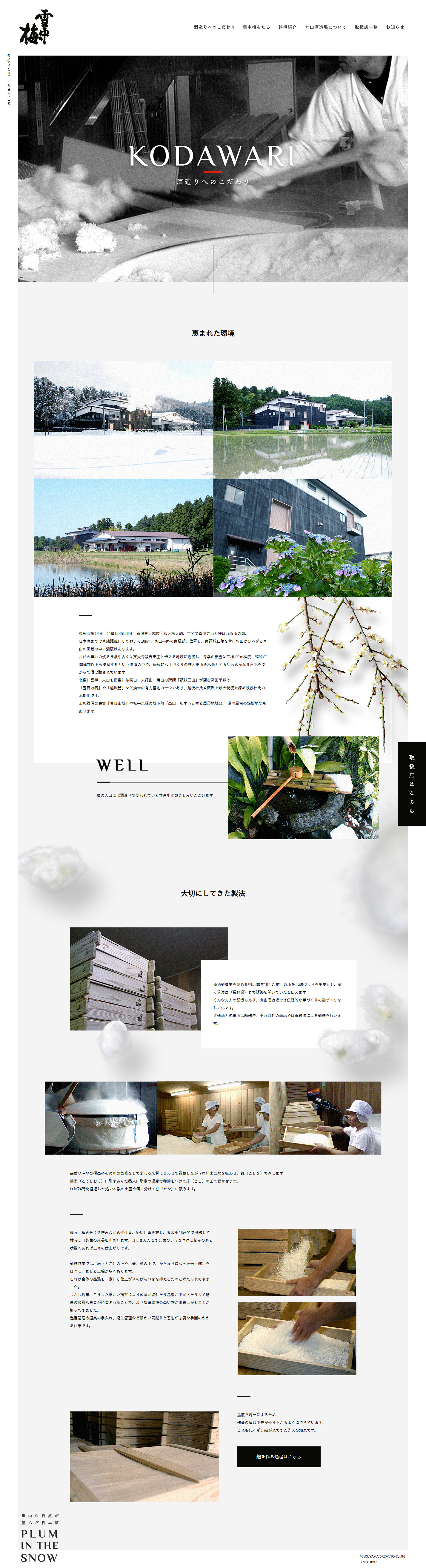 雪中梅    -2.jpg