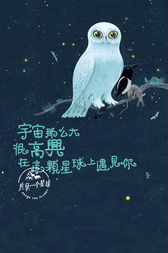 滴滴出行：《地球四季》系列Gif-2.gif