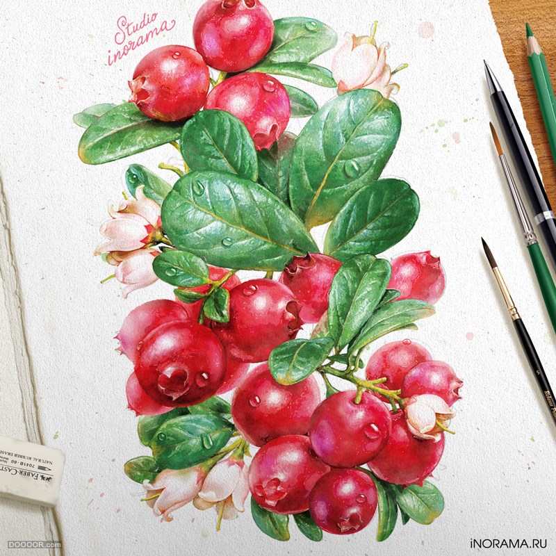 -iNORAMA illustrators [30P] (6).jpg