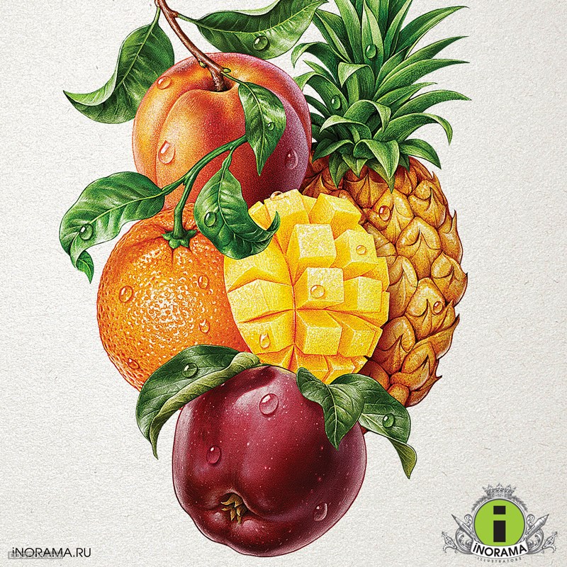 -iNORAMA illustrators [30P] (8).jpg