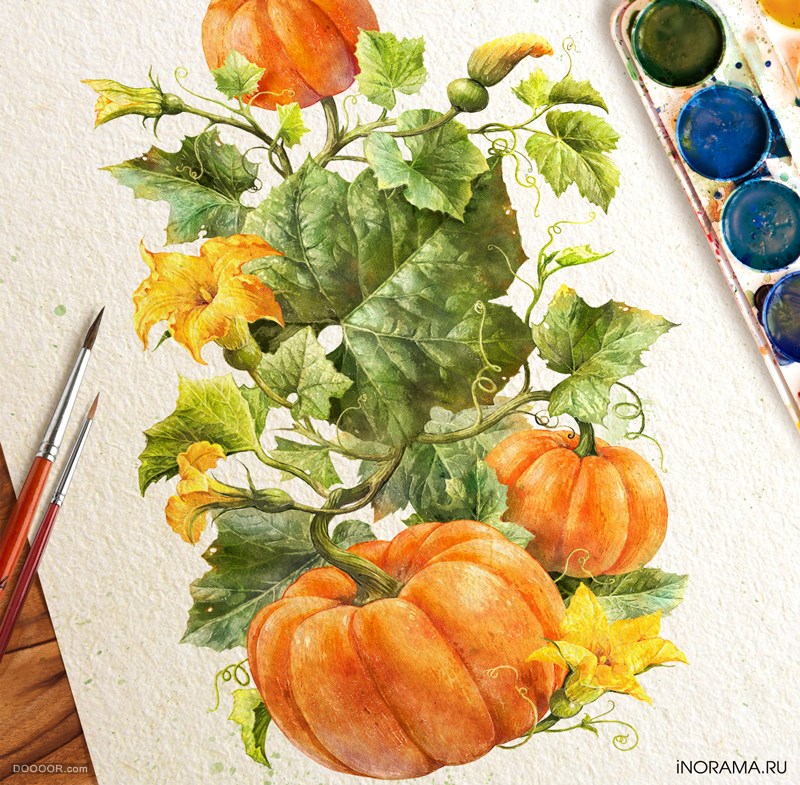 -iNORAMA illustrators [30P] (7).jpg