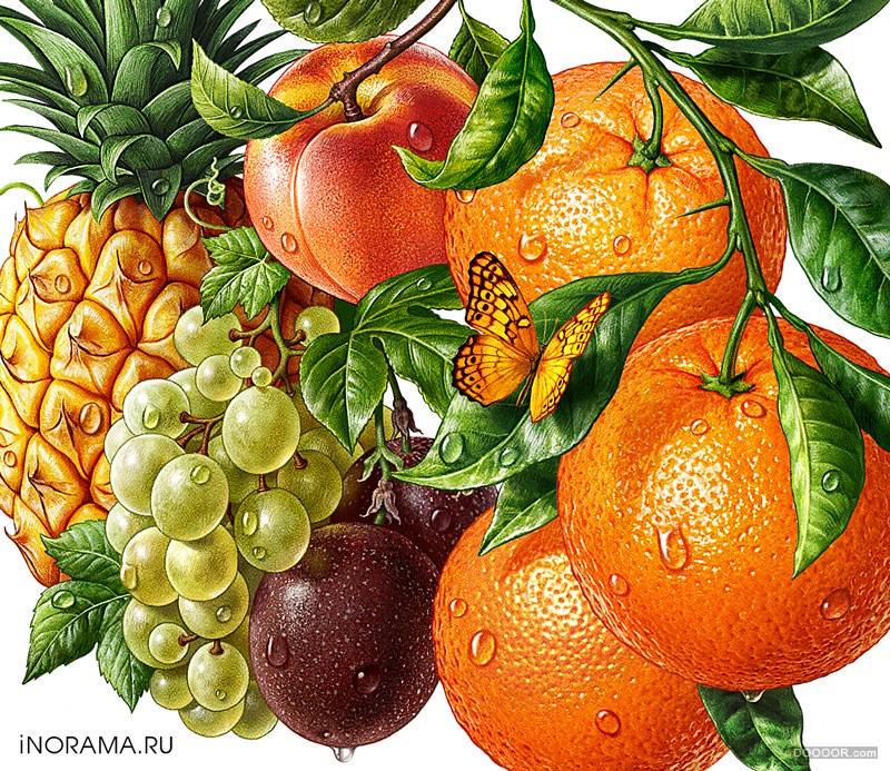 -iNORAMA illustrators [30P] (27).jpg