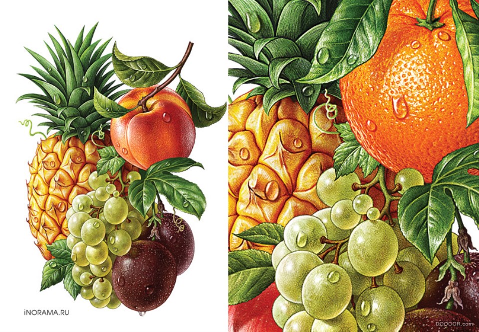 -iNORAMA illustrators [30P] (29).jpg