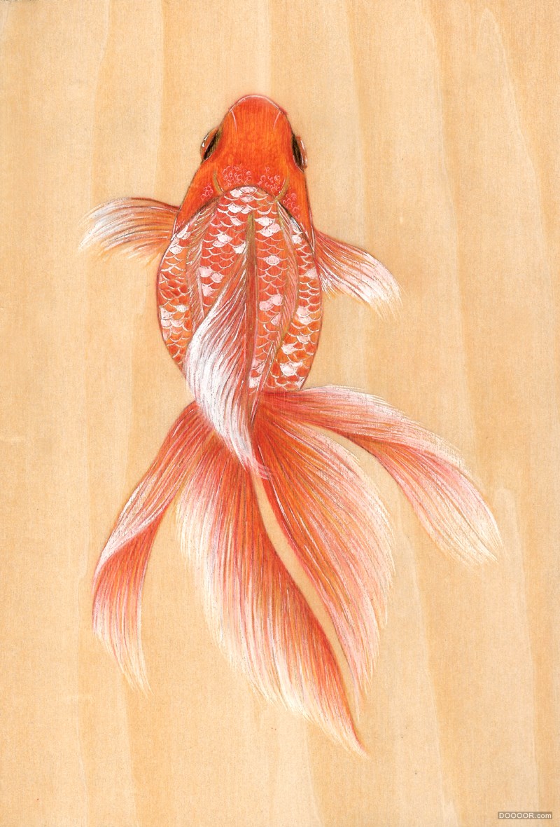 细腻柔和的花鸟虫鱼和美女插画-香港粉岭Peony Yip [48P] (22).jpg