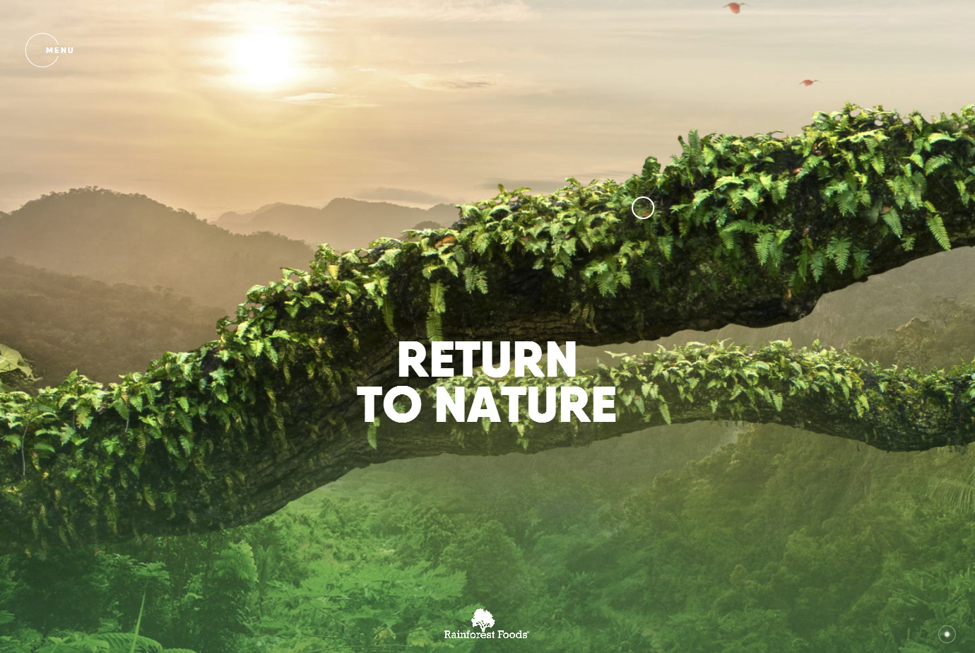 rainforestfoods_01.jpg
