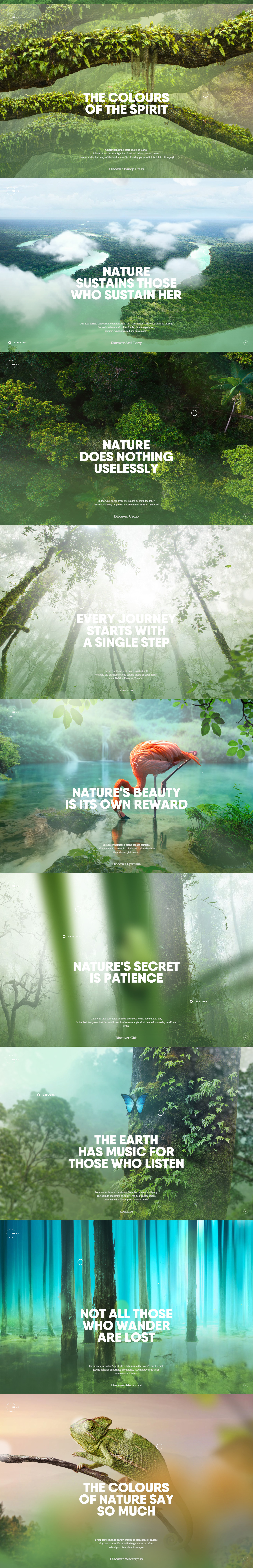 rainforestfoods_02.jpg