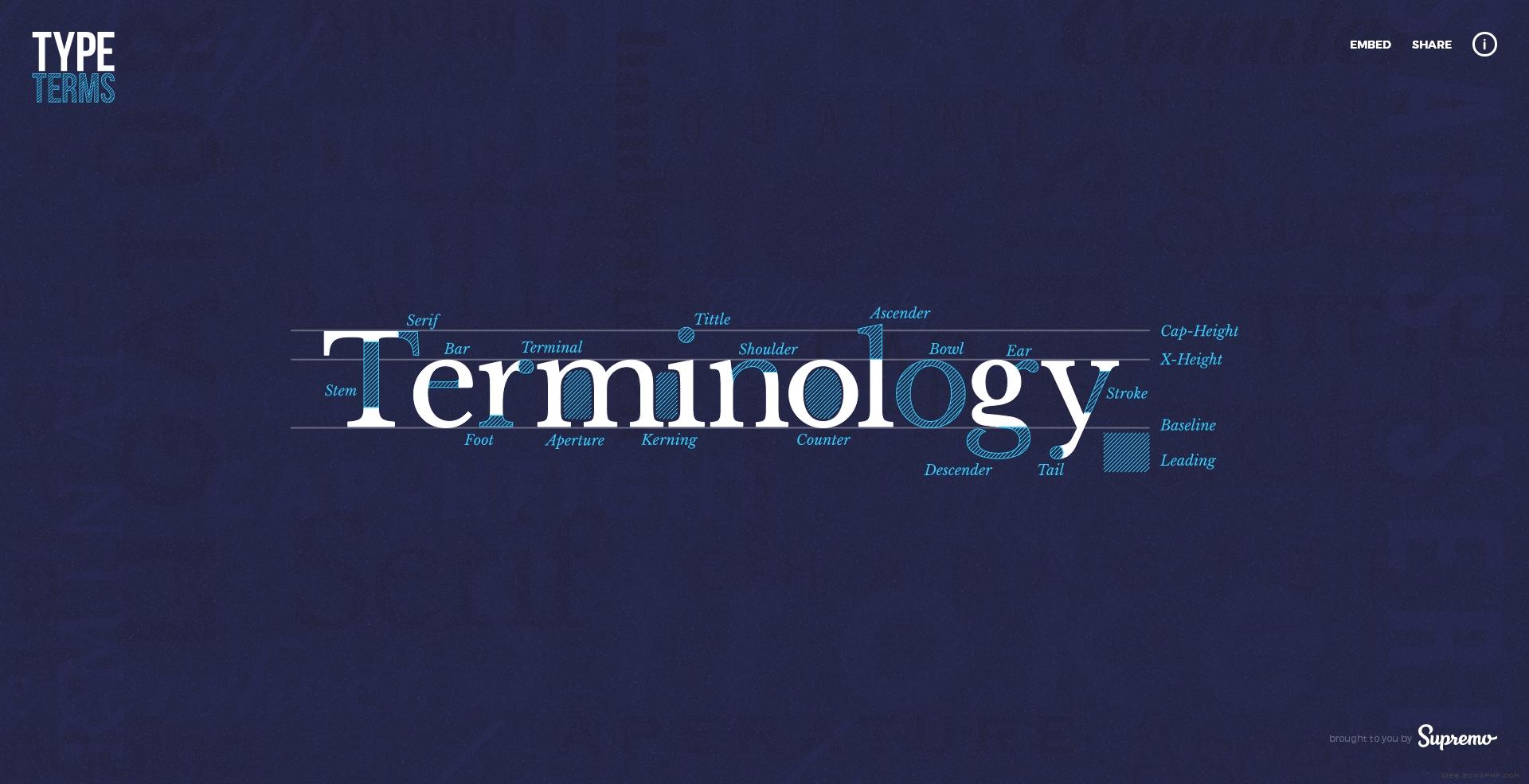 Type Terms个性字母排版设计3.jpg