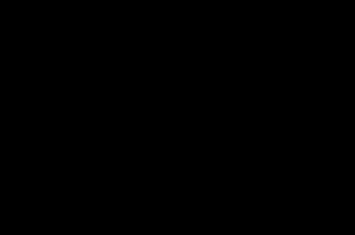 ARCHER阿切尔农场咖啡品牌包装设计-Jules Tardy [16P] 6.gif