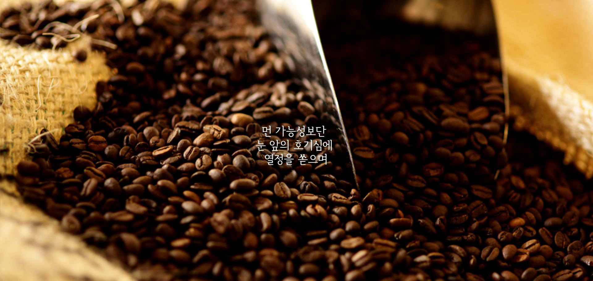 Dutch-480咖啡饮料酷站2_01.jpg