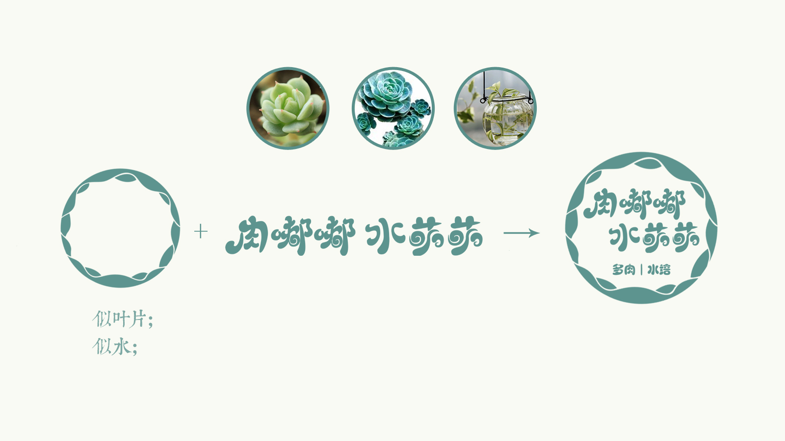 多肉植物标志设计和名片设计 (4).jpg