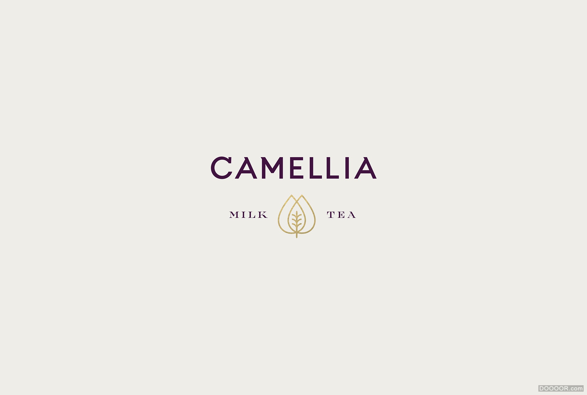 CAMELLIA MILK山茶花奶茶品牌包装设计-墨西哥Menta . [29P] (1).jpg