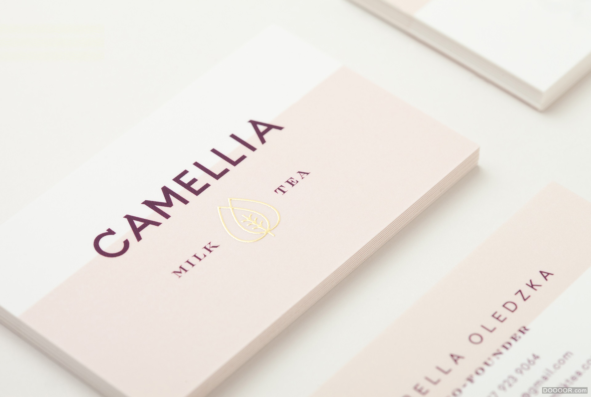 CAMELLIA MILK山茶花奶茶品牌包装设计-墨西哥Menta . [29P] (6).jpg