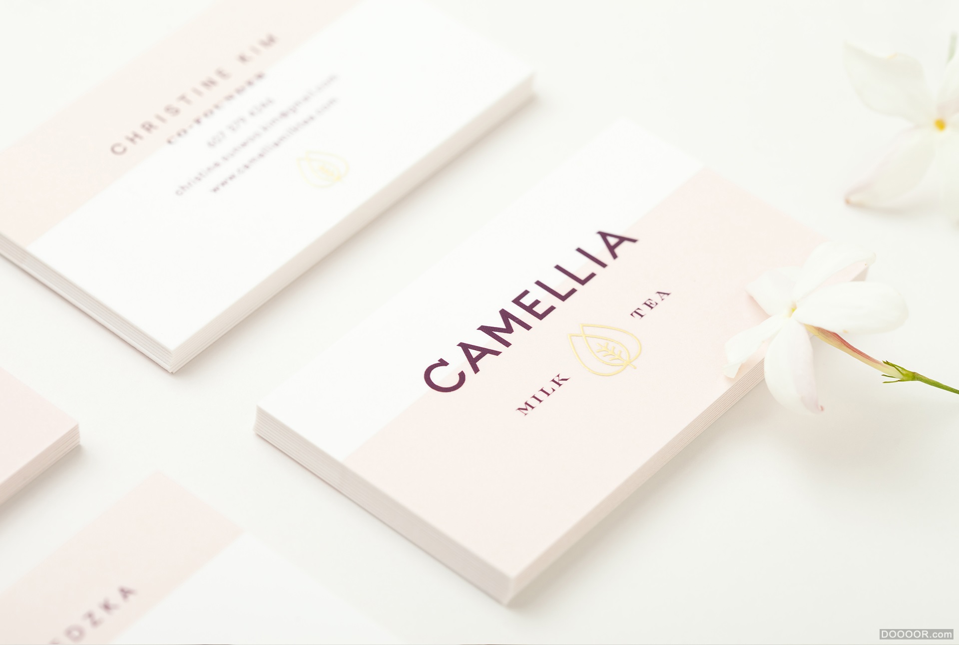 CAMELLIA MILK山茶花奶茶品牌包装设计-墨西哥Menta . [29P] (5).jpg