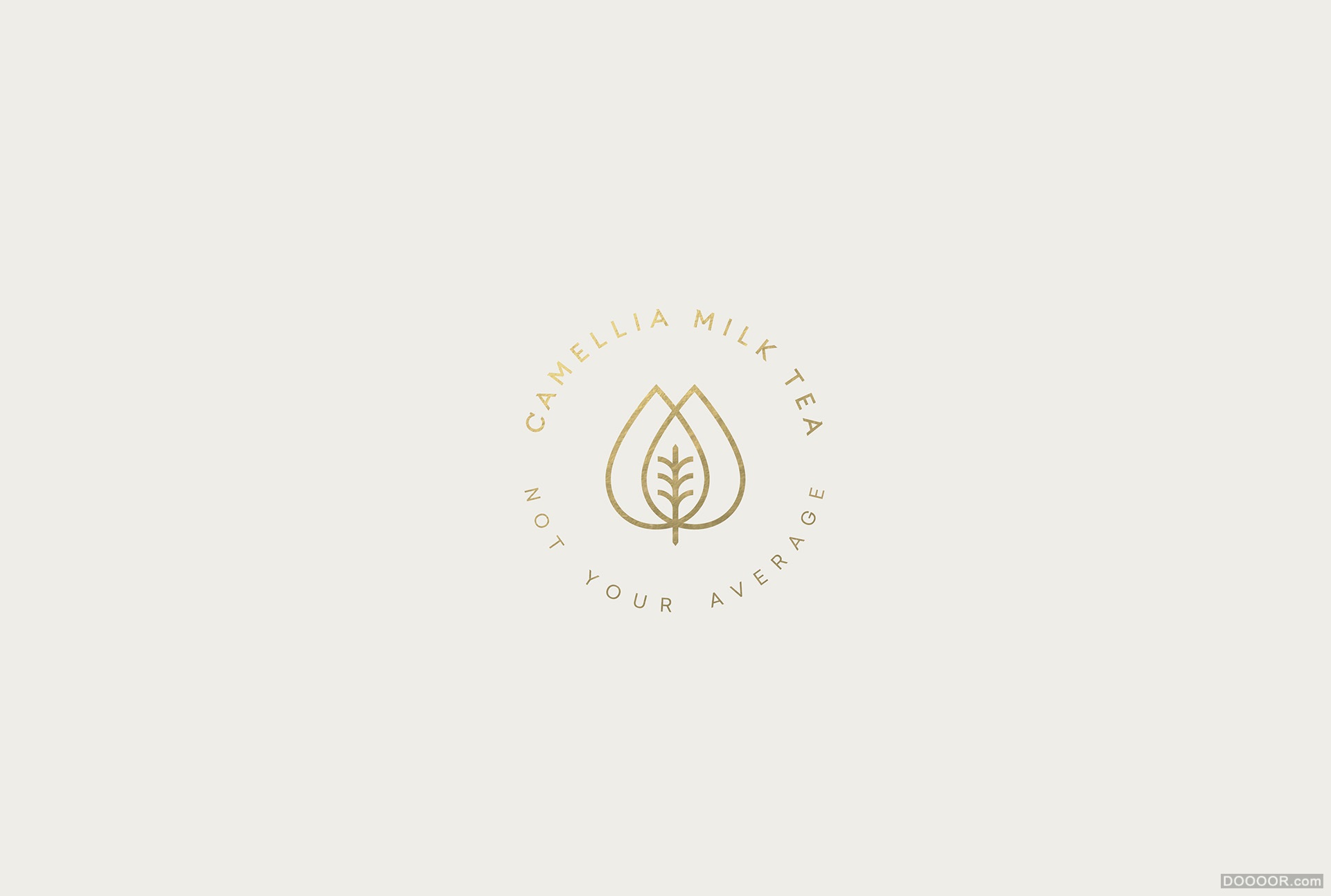 CAMELLIA MILK山茶花奶茶品牌包装设计-墨西哥Menta . [29P] (14).jpg