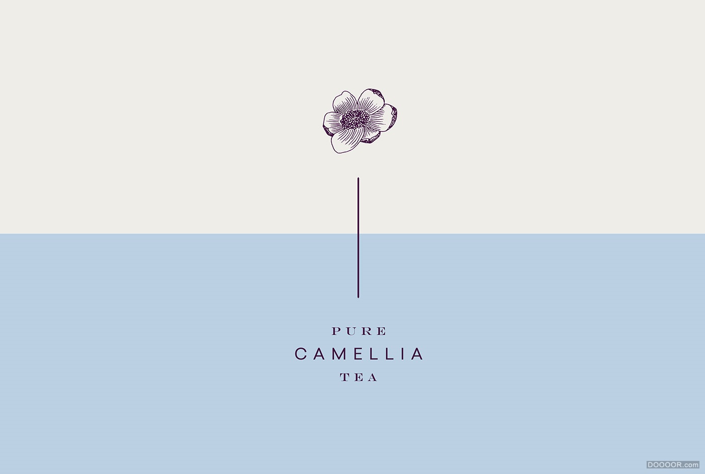 CAMELLIA MILK山茶花奶茶品牌包装设计-墨西哥Menta . [29P] (20).jpg