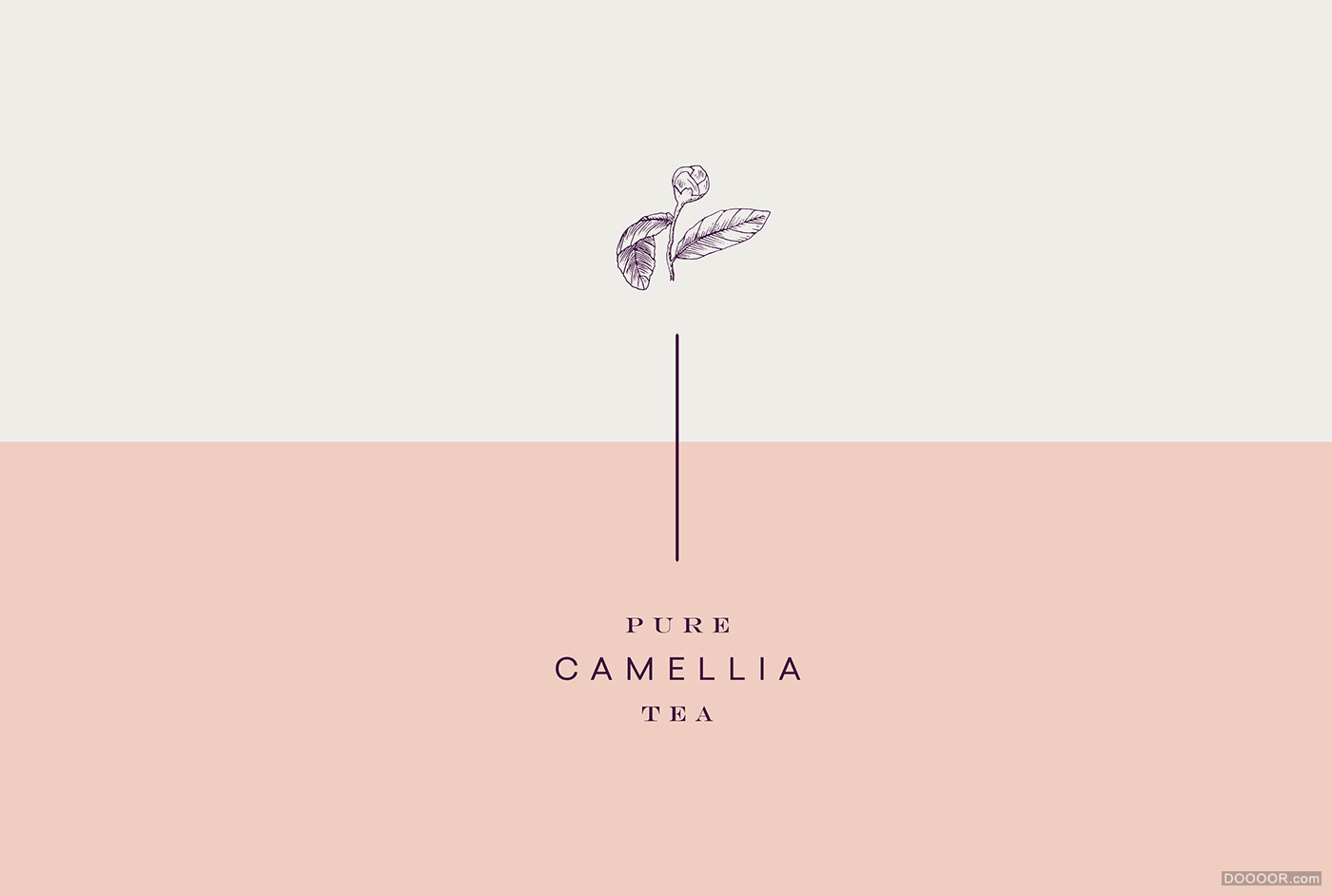 CAMELLIA MILK山茶花奶茶品牌包装设计-墨西哥Menta . [29P] (22).jpg
