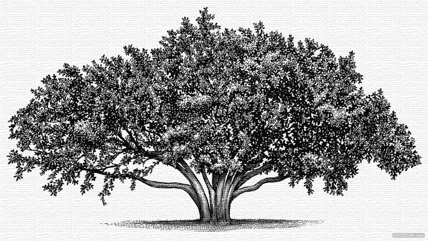 美国Steven Noble木刻雕刻版画风格酒类标签插画作品 [130P] 72.jpg