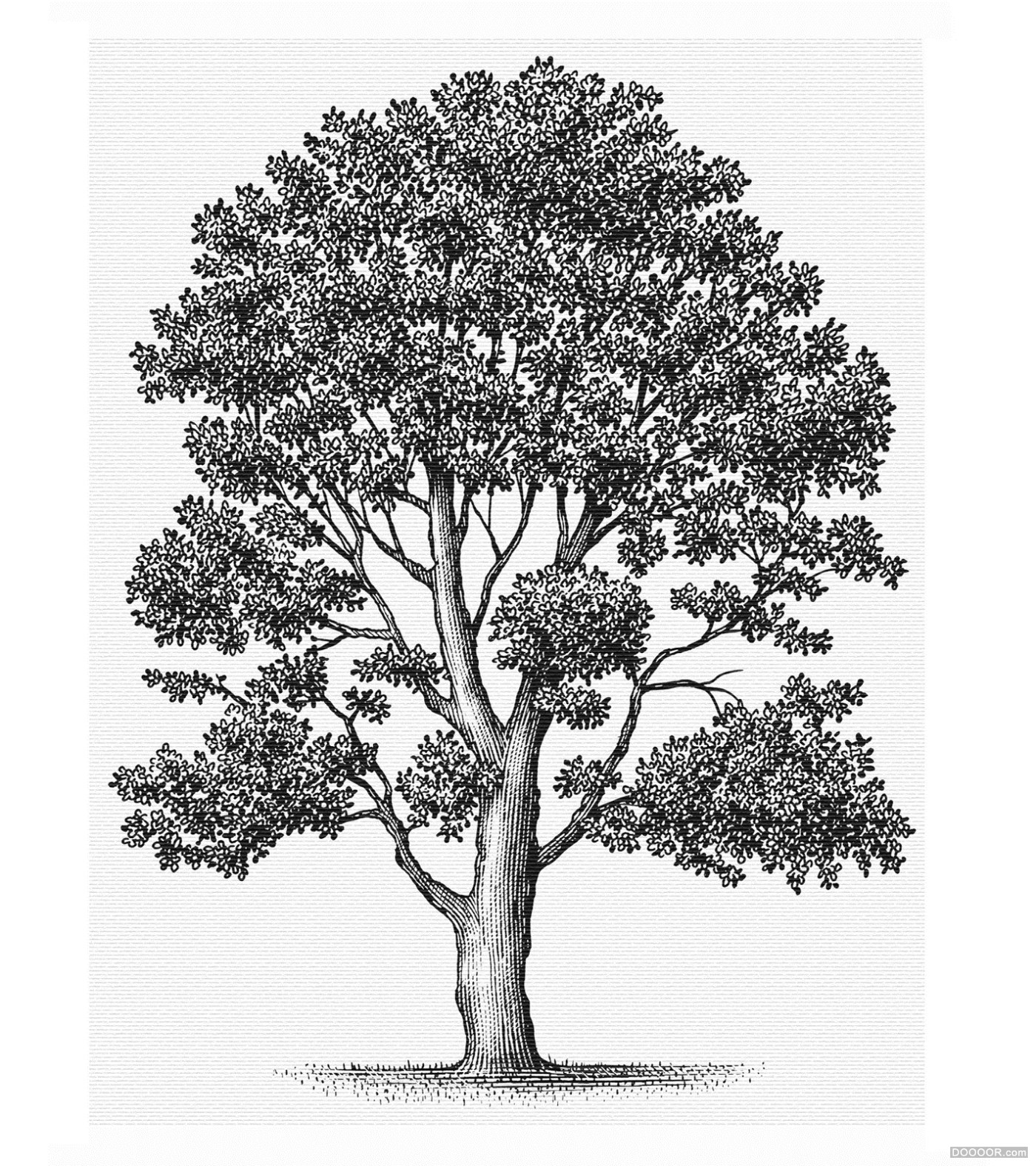 美国Steven Noble木刻雕刻版画风格酒类标签插画作品 [130P] 79.jpg