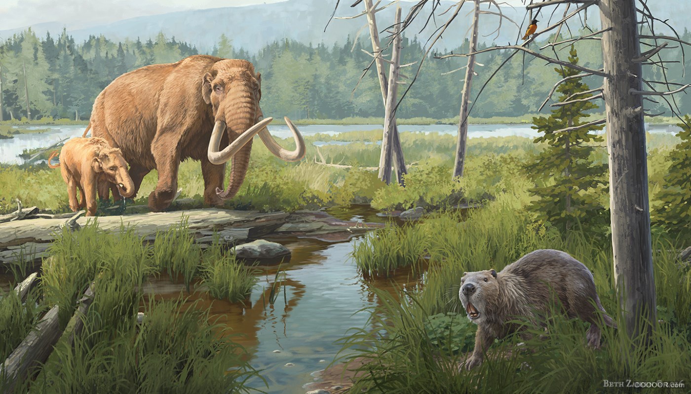 在三叠纪时期，它与大象是同等的大型哺乳动物，与恐龙并存！__财经头条