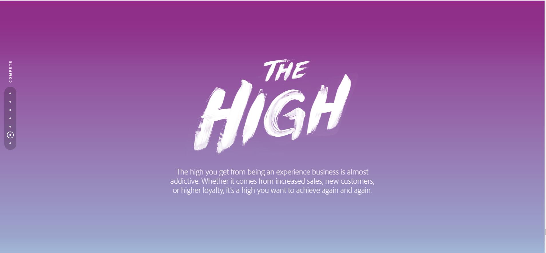 Adobe Digital Marketing Study-6.jpg