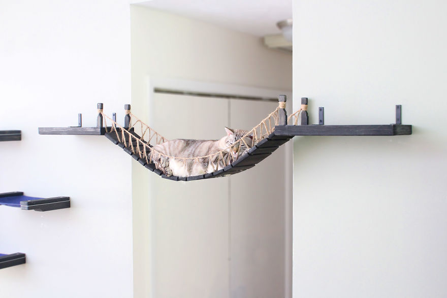 我们为我们的猫创建了印第安纳琼斯桥-CatastrophiCreations[12P](6).jpg