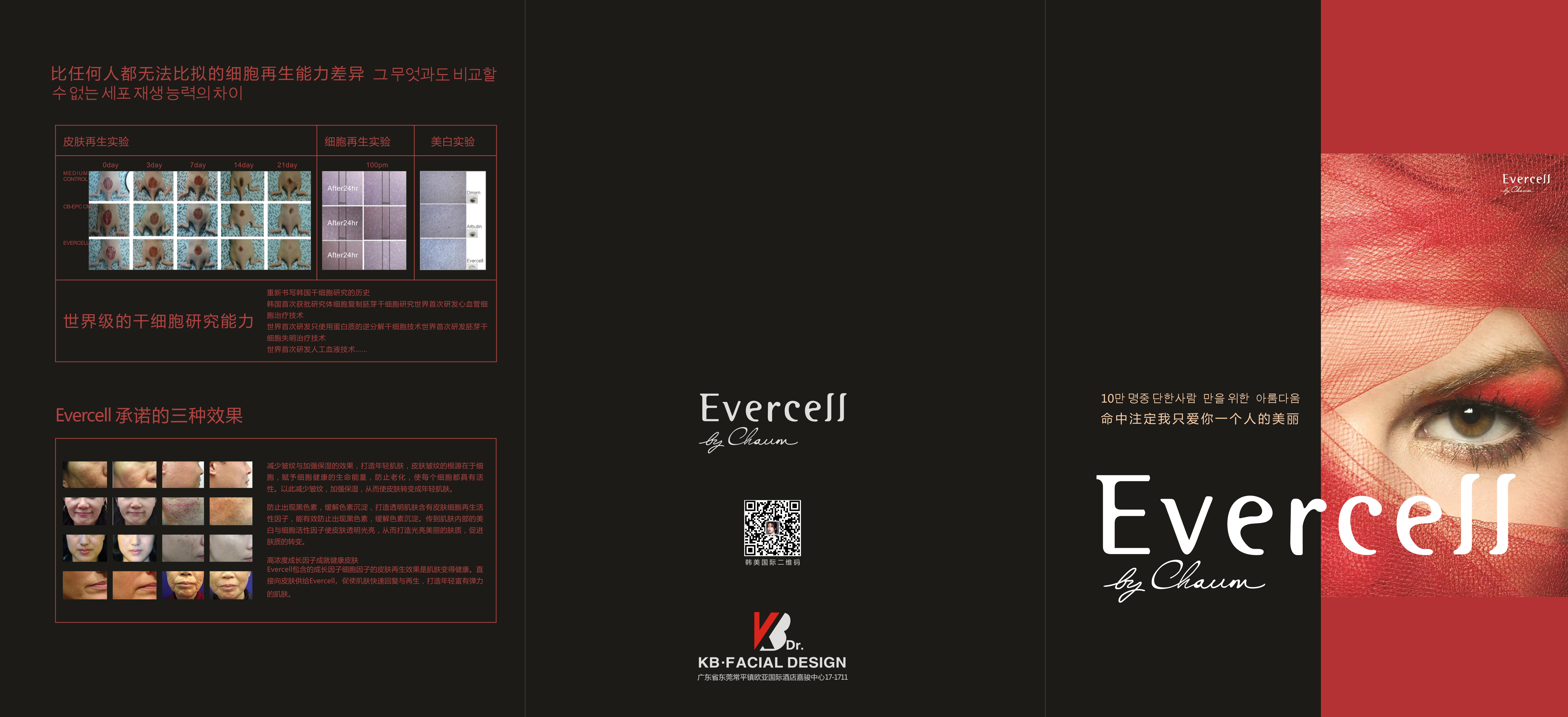 Evercess 171219 1.jpg