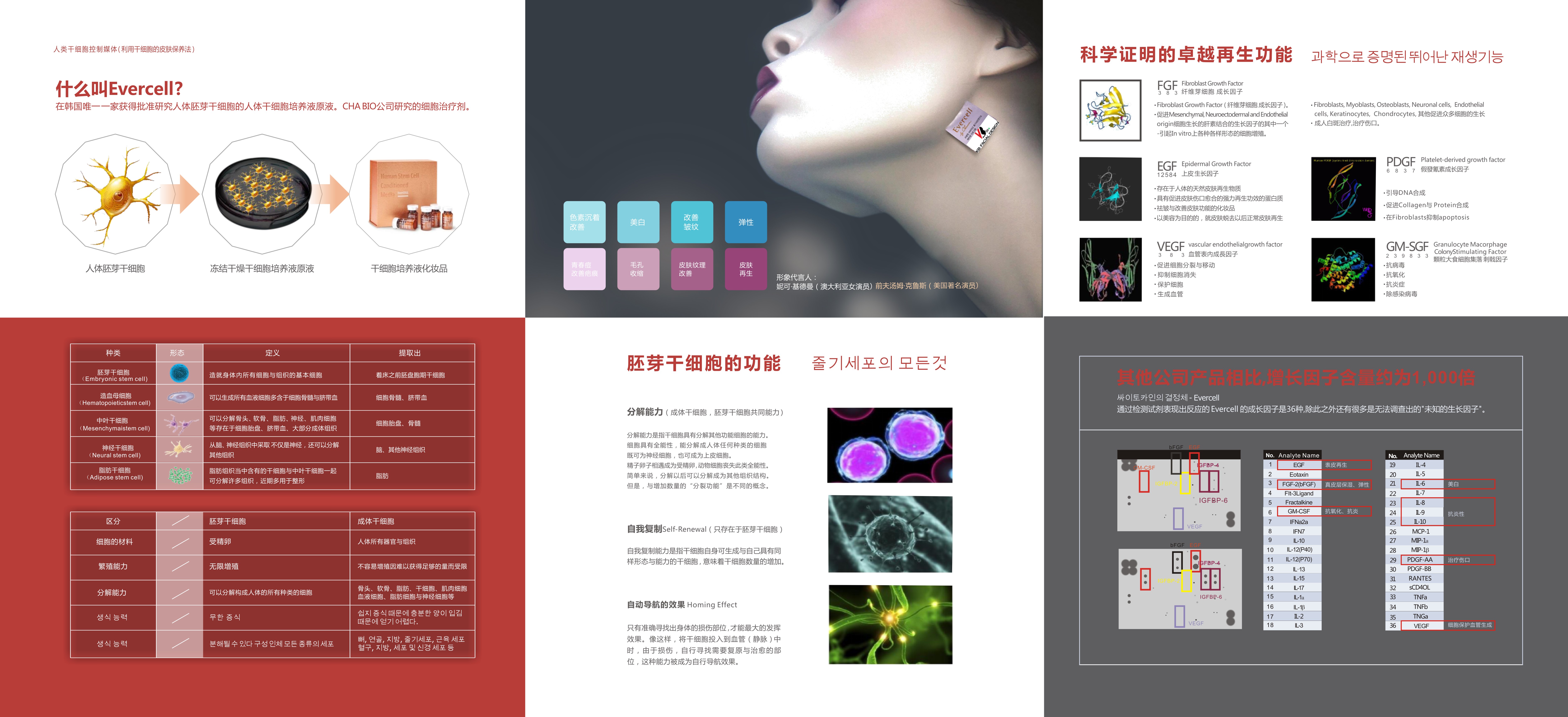 Evercess 171219 2.jpg