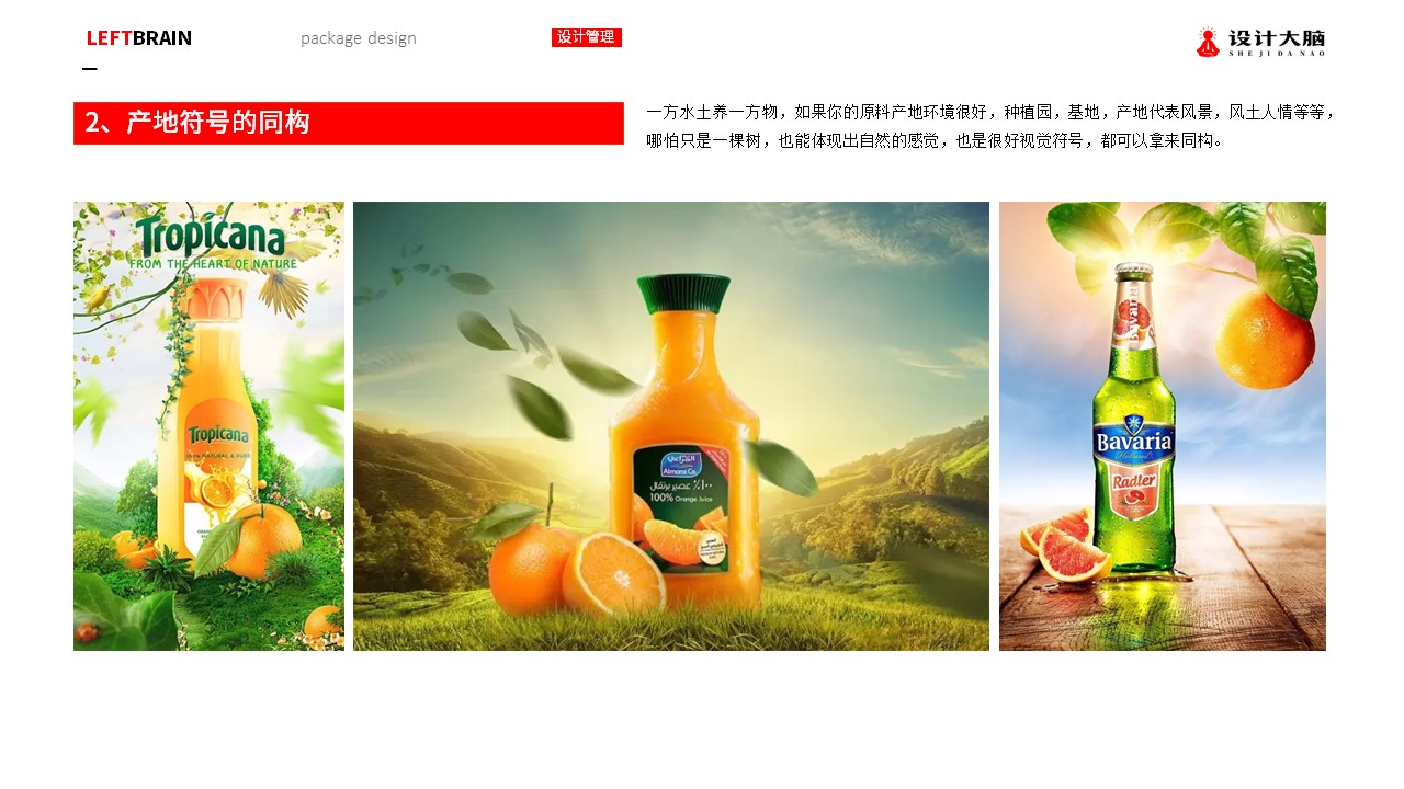 幻灯片14.JPG