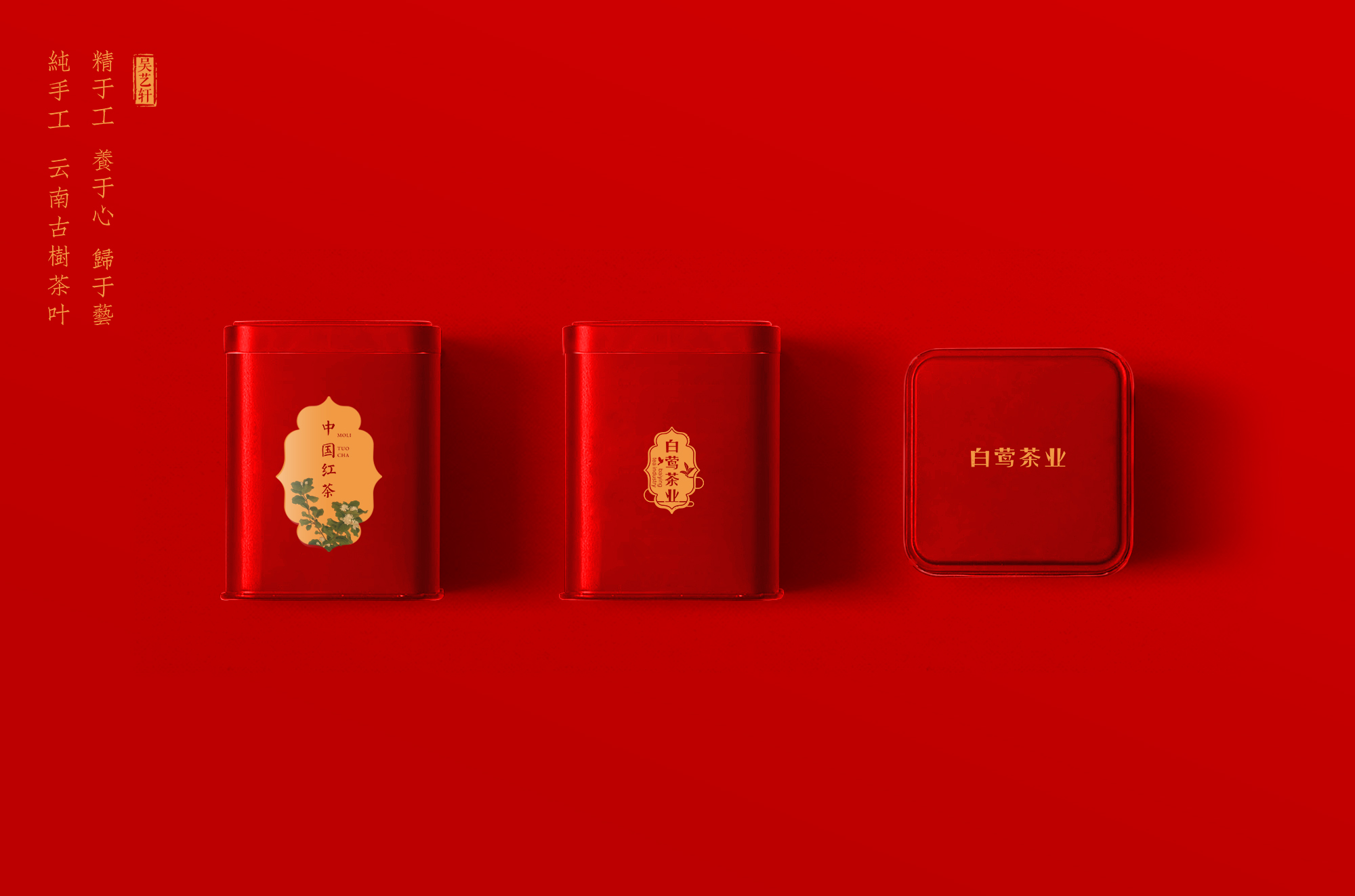 白中莺案例展示-18.jpg