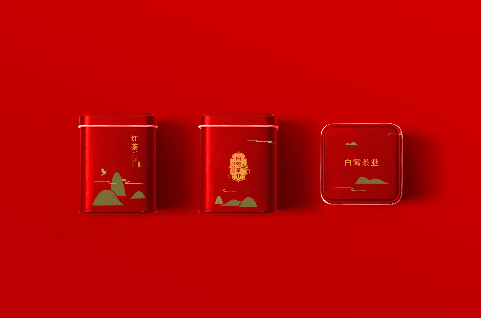 白中莺案例展示-19.jpg